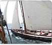 Camden Day Trips Sail